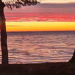 Thrifty Star DVD Bundle.